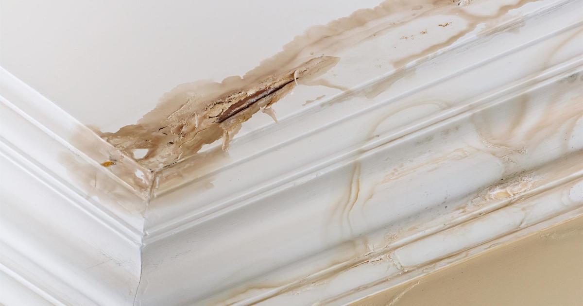 Lees hier meer over problemen met verzekering voorkomen.