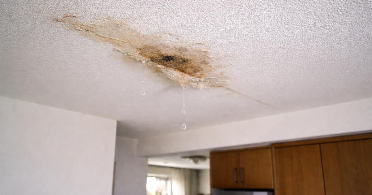 Lees hier meer over tekenen van waterlekkage.